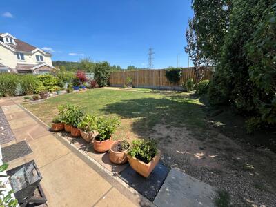 Picture 24